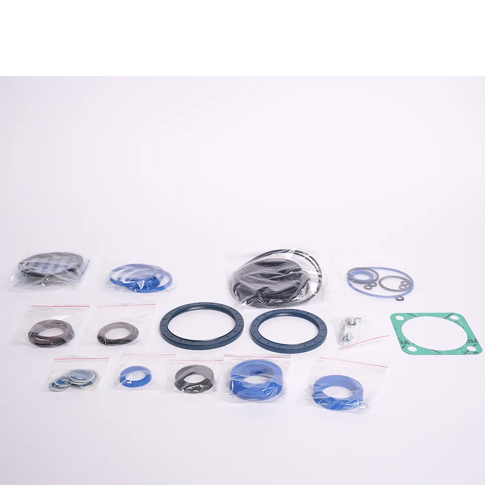 3115915099 , 3115 9150 99 SEAL KIT 1838HD